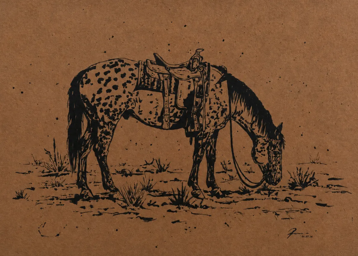 The Cowboy's Appaloosa